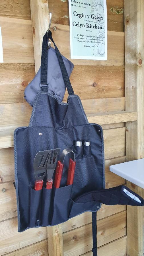 ホテル Calon Y Goedwig Glamping ランダバリー エクステリア 写真
