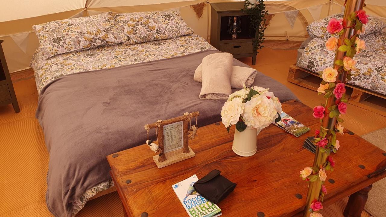 ホテル Calon Y Goedwig Glamping ランダバリー エクステリア 写真