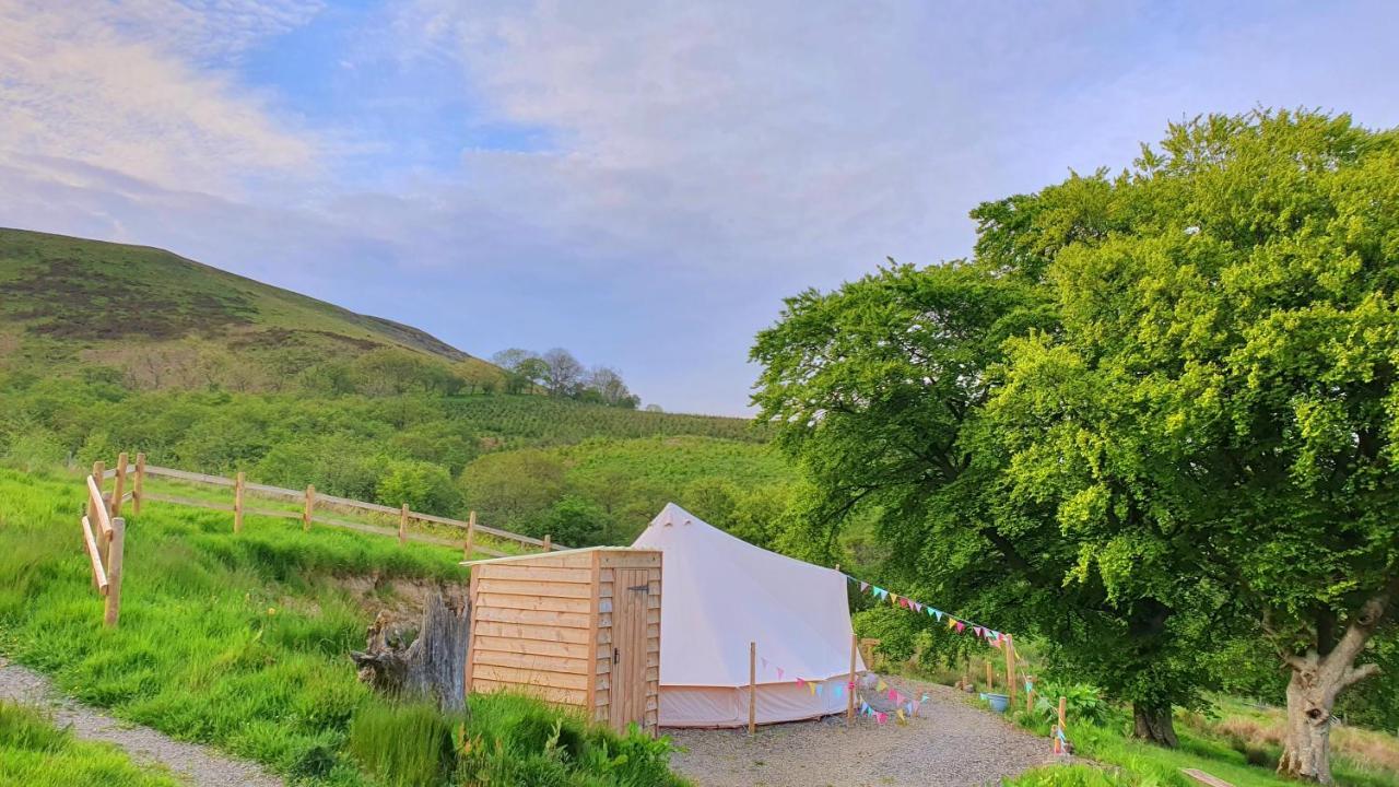 ホテル Calon Y Goedwig Glamping ランダバリー エクステリア 写真