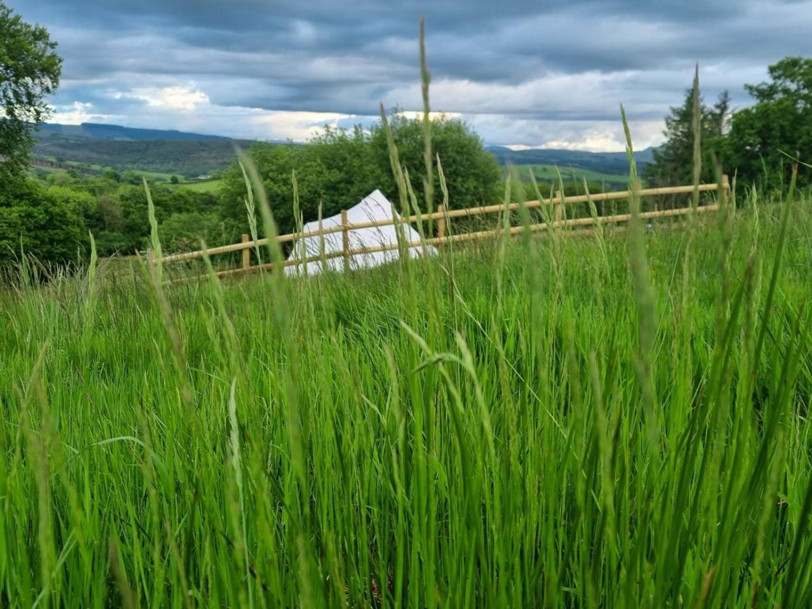 ホテル Calon Y Goedwig Glamping ランダバリー エクステリア 写真